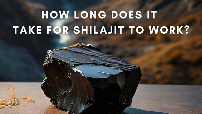 How Long Does It Take For Shilajit To Work?