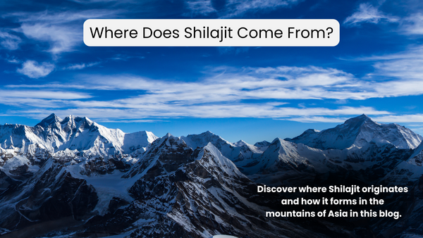 Where Does Shilajit Come From?