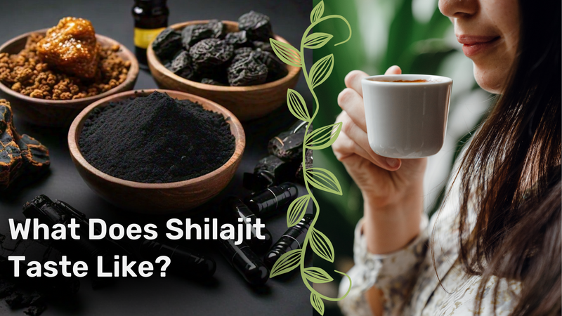 What Does Shilajit Taste Like