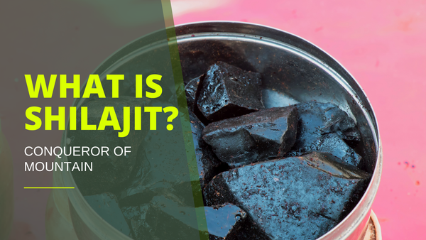 What is Shilajit?