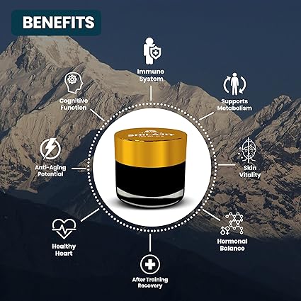 Organic Himalayan Shilajit – 10G of Natural Energy Boost